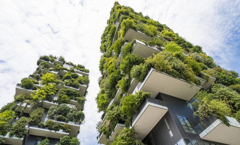 these are test images